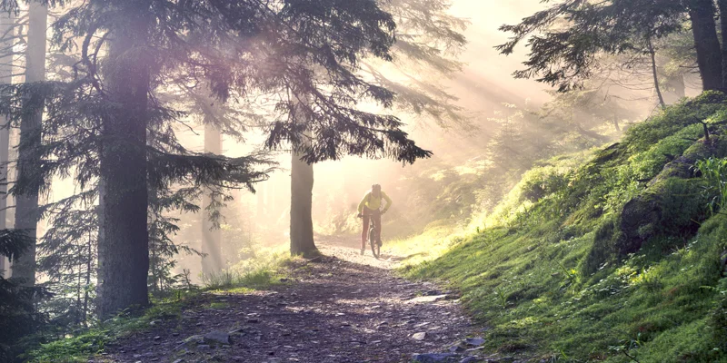 Cyklistika kolem Lipna